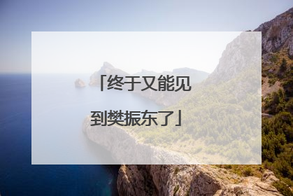终于又能见到樊振东了
