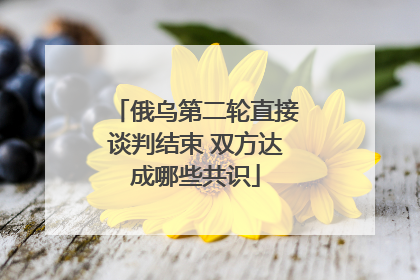 俄乌第二轮直接谈判结束 双方达成哪些共识