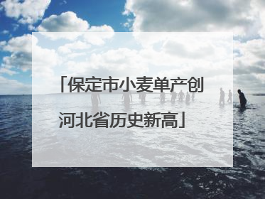 保定市小麦单产创河北省历史新高