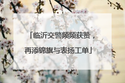 临沂交警频频获赞，再添锦旗与表扬工单