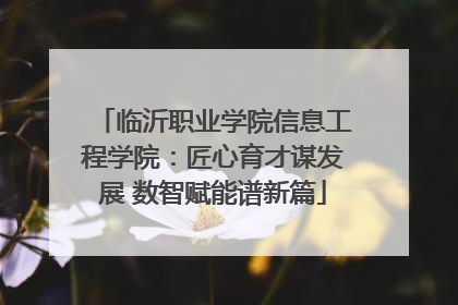 临沂职业学院信息工程学院：匠心育才谋发展 数智赋能谱新篇