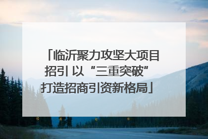 临沂聚力攻坚大项目招引 以“三重突破”打造招商引资新格局