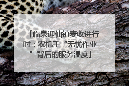 临泉迎仙镇麦收进行时：农机手“无忧作业”背后的服务温度