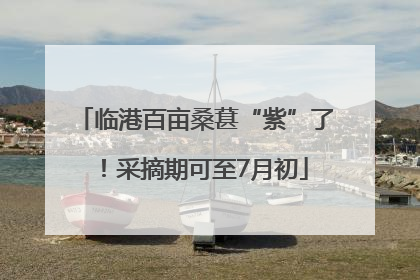 临港百亩桑葚“紫”了！采摘期可至7月初