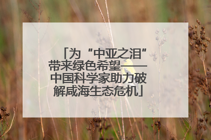 为“中亚之泪”带来绿色希望——中国科学家助力破解咸海生态危机