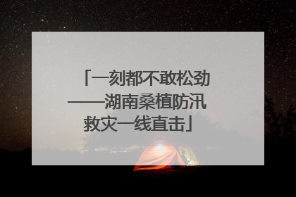 一刻都不敢松劲——湖南桑植防汛救灾一线直击