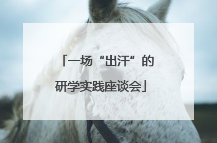 一场“出汗”的研学实践座谈会