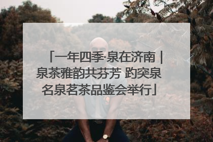 一年四季·泉在济南｜泉茶雅韵共芬芳 趵突泉名泉茗茶品鉴会举行