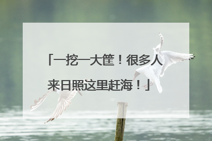 一挖一大筐！很多人来日照这里赶海！