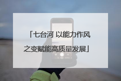 七台河 以能力作风之变赋能高质量发展
