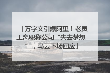 万字文引爆阿里！老员工离职称公司“失去梦想”，马云下场回应