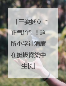 三姿挺立“正气竹”！这所小学让清廉在挺拔脊梁中生长