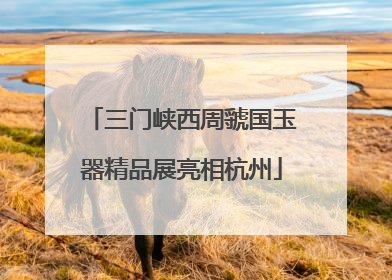 三门峡西周虢国玉器精品展亮相杭州