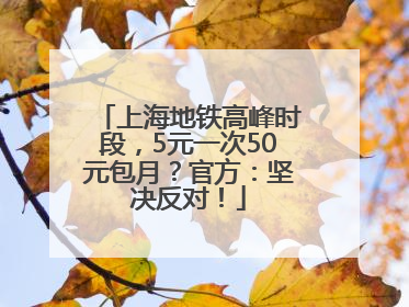 上海地铁高峰时段，5元一次50元包月？官方：坚决反对！
