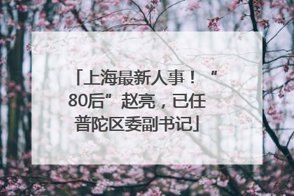 上海最新人事！“80后”赵亮，已任普陀区委副书记