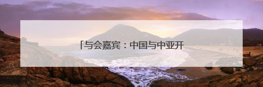 与会嘉宾：中国与中亚开展人工智能合作前景广阔