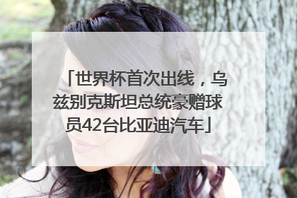 世界杯首次出线，乌兹别克斯坦总统豪赠球员42台比亚迪汽车