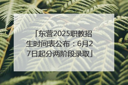 东营2025职教招生时间表公布：6月27日起分两阶段录取
