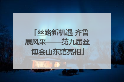 丝路新机遇 齐鲁展风采——第九届丝博会山东馆亮相