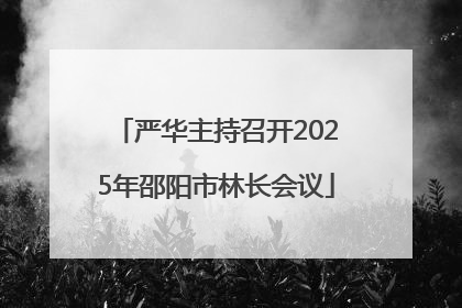 严华主持召开2025年邵阳市林长会议