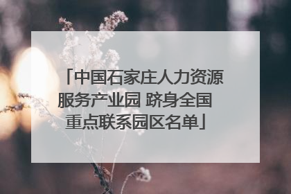中国石家庄人力资源服务产业园 跻身全国重点联系园区名单