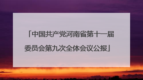 中国共产党河南省第十一届委员会第九次全体会议公报