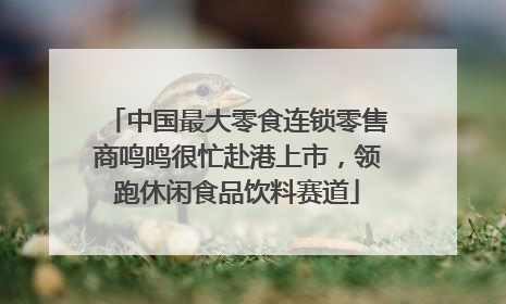中国最大零食连锁零售商鸣鸣很忙赴港上市，领跑休闲食品饮料赛道