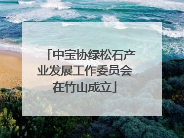 中宝协绿松石产业发展工作委员会在竹山成立