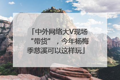 中外网络大V现场“带货”，今年杨梅季慈溪可以这样玩