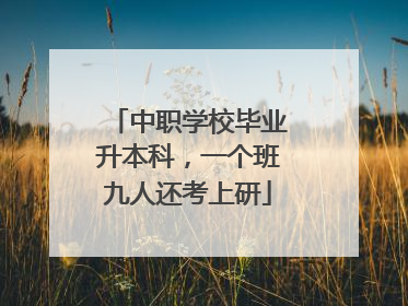 中职学校毕业升本科，一个班九人还考上研