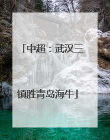 中超：武汉三镇胜青岛海牛