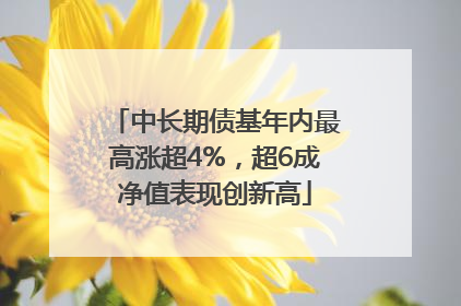 中长期债基年内最高涨超4%，超6成净值表现创新高