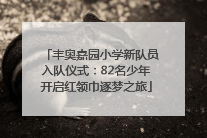 丰奥嘉园小学新队员入队仪式：82名少年开启红领巾逐梦之旅