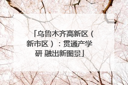 乌鲁木齐高新区（新市区）：贯通产学研 融出新图景