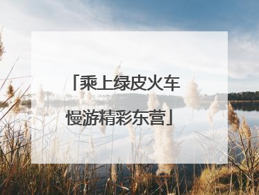 乘上绿皮火车 慢游精彩东营