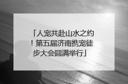 人宠共赴山水之约！第五届济南携宠徒步大会圆满举行