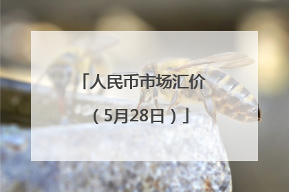 人民币市场汇价（5月28日）