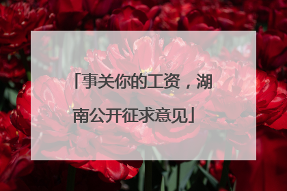 事关你的工资，湖南公开征求意见