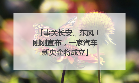 事关长安、东风！刚刚宣布，一家汽车新央企将成立