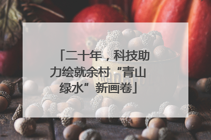 二十年，科技助力绘就余村“青山绿水”新画卷