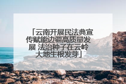 云南开展民法典宣传赋能边疆高质量发展 法治种子在云岭大地生根发芽