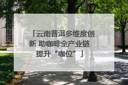 云南普洱多维度创新 助咖啡全产业链提升“咖位”