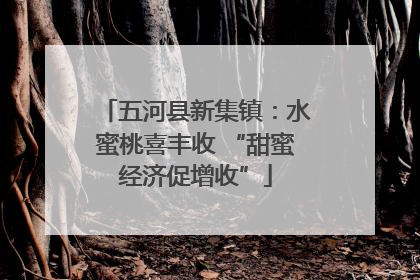 五河县新集镇：水蜜桃喜丰收 “甜蜜经济促增收”