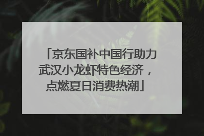 京东国补中国行助力武汉小龙虾特色经济，点燃夏日消费热潮