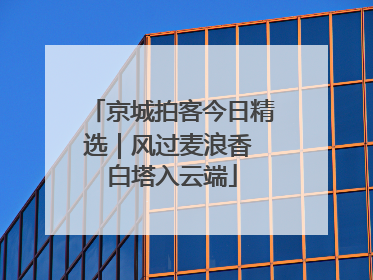 京城拍客今日精选｜风过麦浪香 白塔入云端