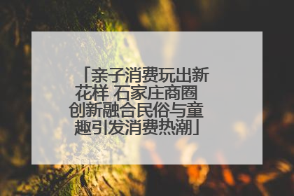 亲子消费玩出新花样 石家庄商圈创新融合民俗与童趣引发消费热潮