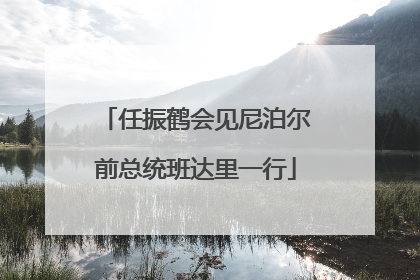 任振鹤会见尼泊尔前总统班达里一行