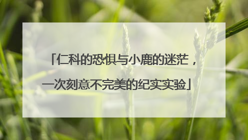 仁科的恐惧与小鹿的迷茫，一次刻意不完美的纪实实验