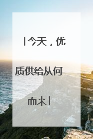今天，优质供给从何而来