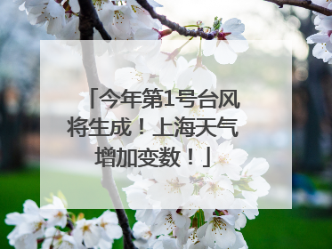今年第1号台风将生成！上海天气增加变数！